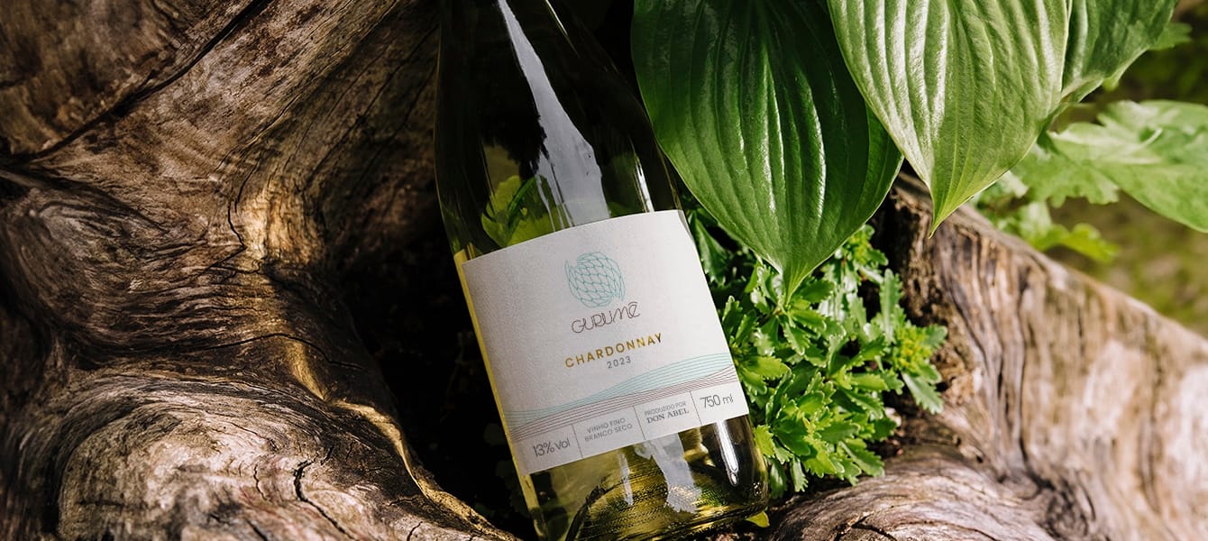 Imagem Destaque Galeria